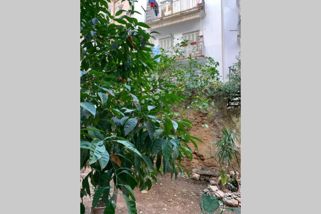 Quiet And Central Flat With Private Backyard Garden Athens Luaran gambar