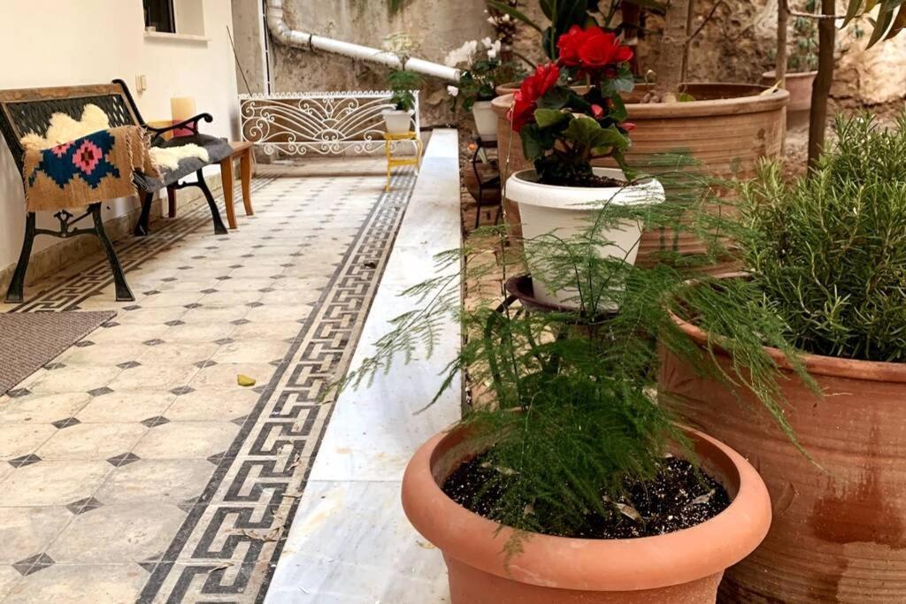Quiet And Central Flat With Private Backyard Garden Athens Luaran gambar